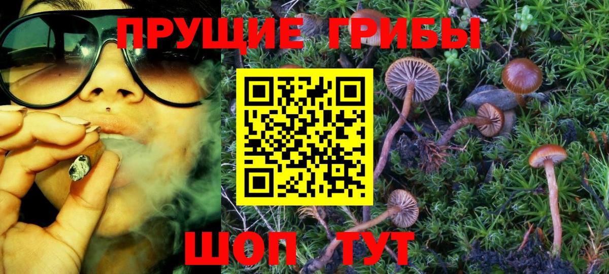 Нарьян-Мар  Псилоцибиновые грибы Magic Shrooms  Вход с VPN  Псилоцибиновые грибы Psilocybe 